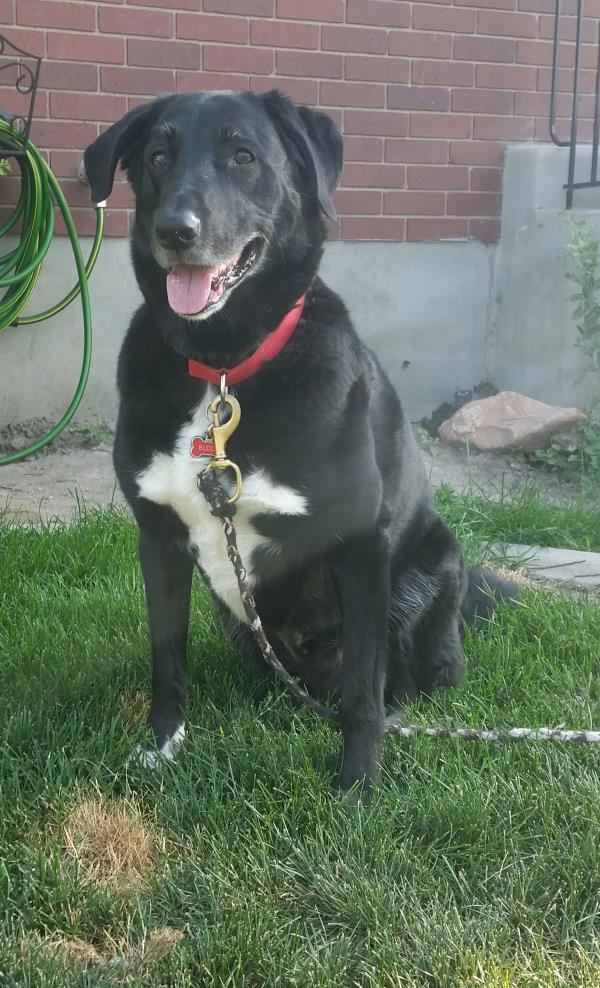 /Images/uploads/Humane Society of Utah/HSUCalendar/entries/1570thumb.jpg